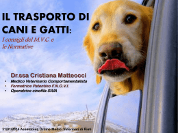 Il trasporto di cani e gatti - Ordine dei Medici Veterinari della