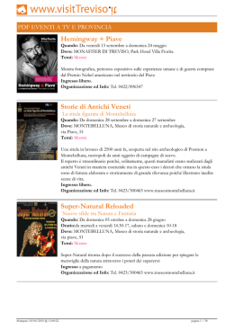 VENTI A TREVISO E PROVINCIA