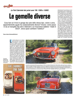 Le gemelle diverse