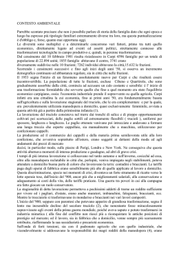 Scarica la pubblicazione integrale in formato