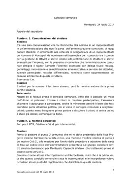 2014-07-24 - Movimento 5 Stelle Montopoli