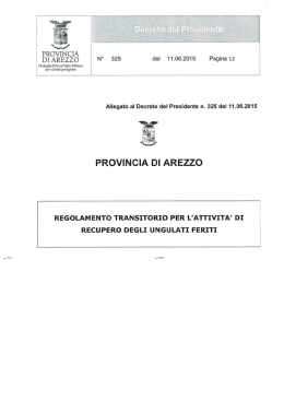 REGOLAMENTO TRANSITORIO PER L