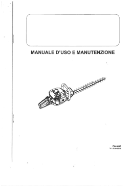 Scarica il Manuale di istruzioni