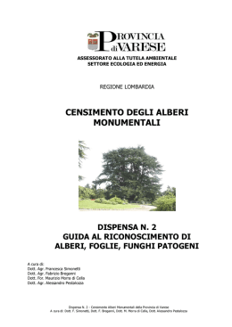 censimento degli alberi monumentali