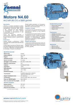 Motore N4.60 - Nanni Diesel