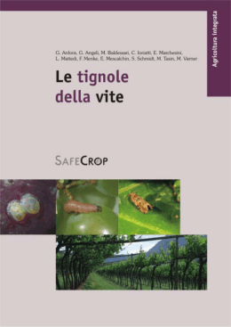Le tignole_della vite