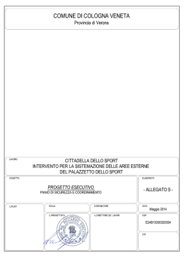 N:\STRADE\COMUNE DI COLOGNA VENETA\PROGETTO