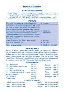 Regolamento 2015 x Internet