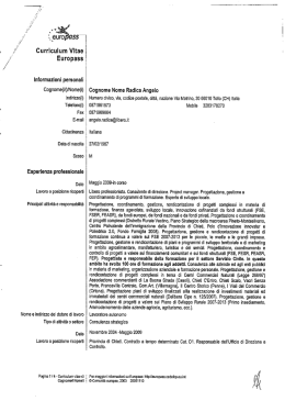 CV - Radica Angelo