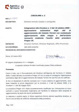 curriculum vitae