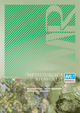 Metallurgica Rivarolese