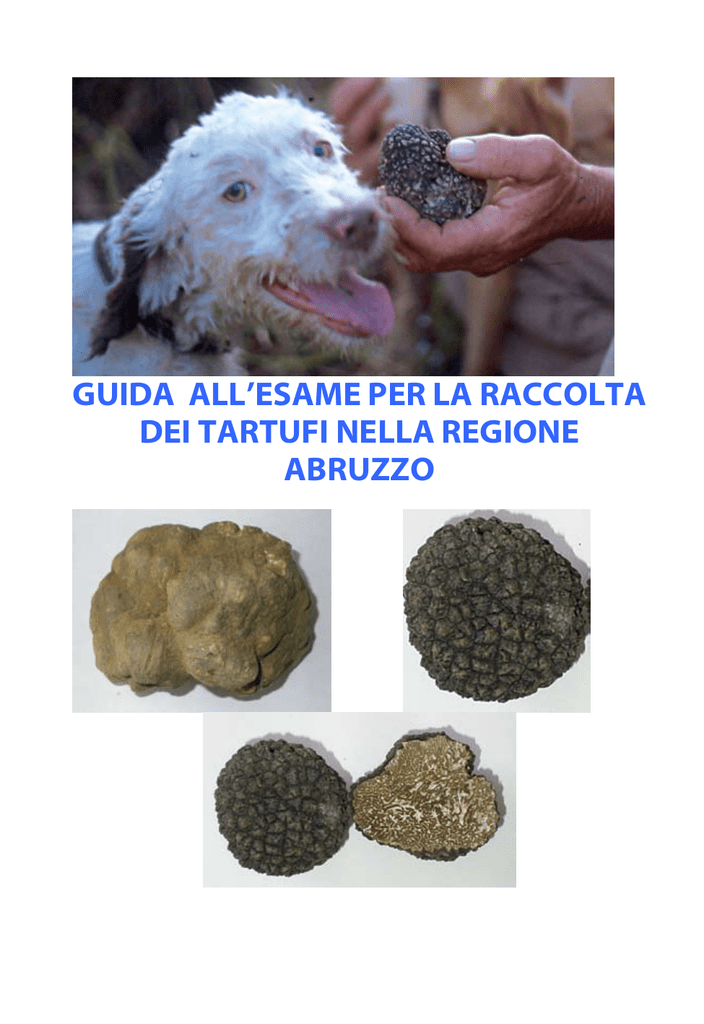 Guida All Esame Per La Raccolta Dei Tartufi Nella