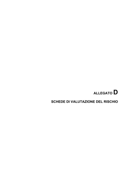 D Schede valutazione del rischio
