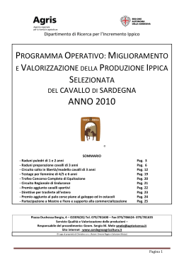Programma operativo per l`anno 2010 [file ]