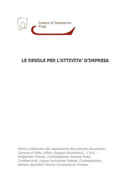 Le regole per l`attivit&agrave; d`impresa - libretto italiano cinese