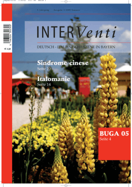 Sindrome cinese Italomanie BUGA 05