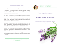 Scarica Aromi del giardino nel piatto