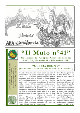 Il Mulo n&deg;41 - Sezione di Venezia