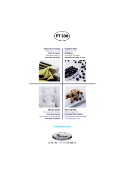 IFU FT 338 IT 4619-652