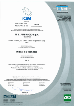ICIM - MS Ambrogio SpA