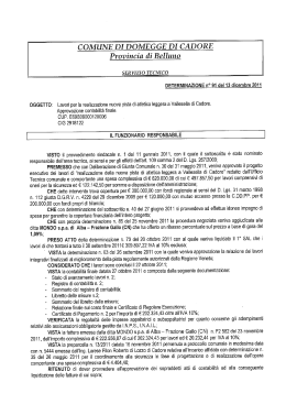determinazione - Regione Veneto
