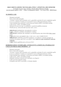 Documentazione Sinistri 2013