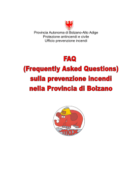 2010-06-18 FAQ italiano