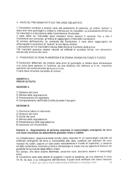 4 - |NVIO SU TRE MANUFATTI E/O TRE AREE DELFMITATE il