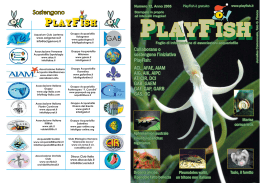 PlayFish Numero 12 Versione pdf per la stampa a libretto