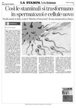 Così le staminali si trasformano in spermatozoi e cellule uova