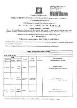 iiiiiiiiiiiiiiiiiiiiiii - Comune di Sala Consilina