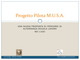 Progetto Pilota MUSA 2014-15