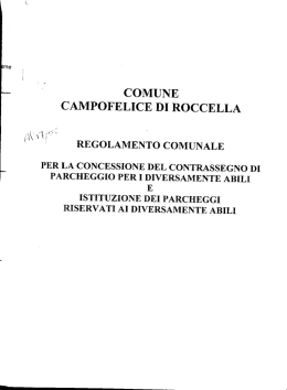 Regolamento comunale per la concessione del contrassegno di