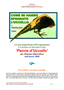 `Penne d`Uccello`