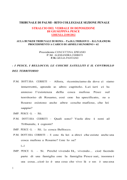 Scarica il documento