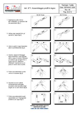 SG11E50 Nuova Edizione\Pag.2