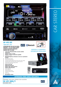 Scarica versione PDF
