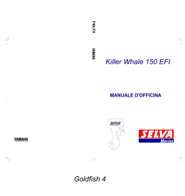 LOWR - Allpa