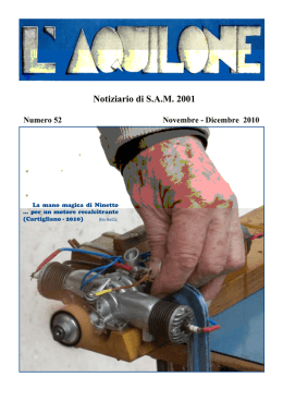Notiziario di S.A.M. 2001