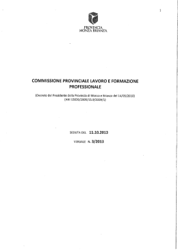 Verbale n.3 - Provincia Monza Brianza
