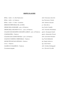 Modello PiMUS 2011 approvato 18-11-11