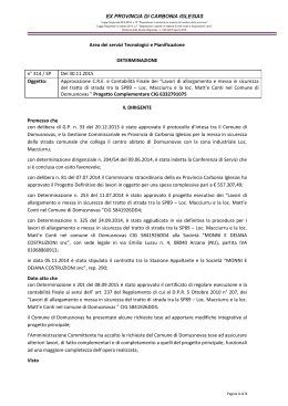 Determina n.314 del 30.11.2015 - Provincia di Carbonia Iglesias