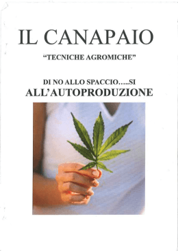 il canapaio - Senza titolo-1