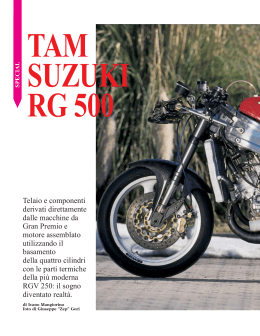 3 - Suzuki Tam RG 500 (imp)