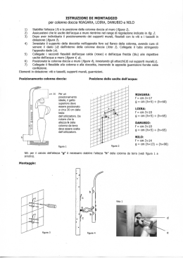 ISTRUZIONI DI MONTAGGIO per colonne doccia NIAGARA, LOIRA