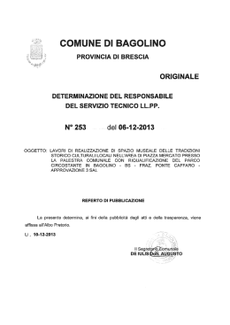 LLPP determinazione n. 253 del 06.12.2013