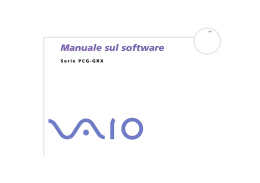 Manuale sul software