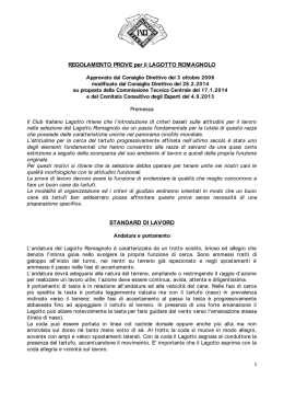 standard di lavoro e regolamento del campionato italiano di