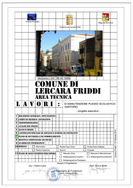 Tav. 07 - Comune Lercara Friddi