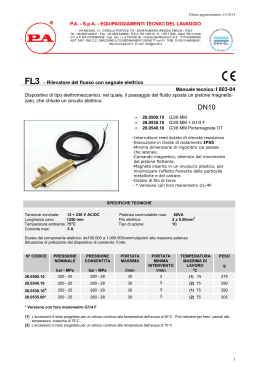 FL3 – Rilevatore del flusso con segnale elettrico Manuale tecnico: I